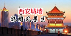 狂操东莞浪逼视频中国陕西-西安城墙旅游风景区